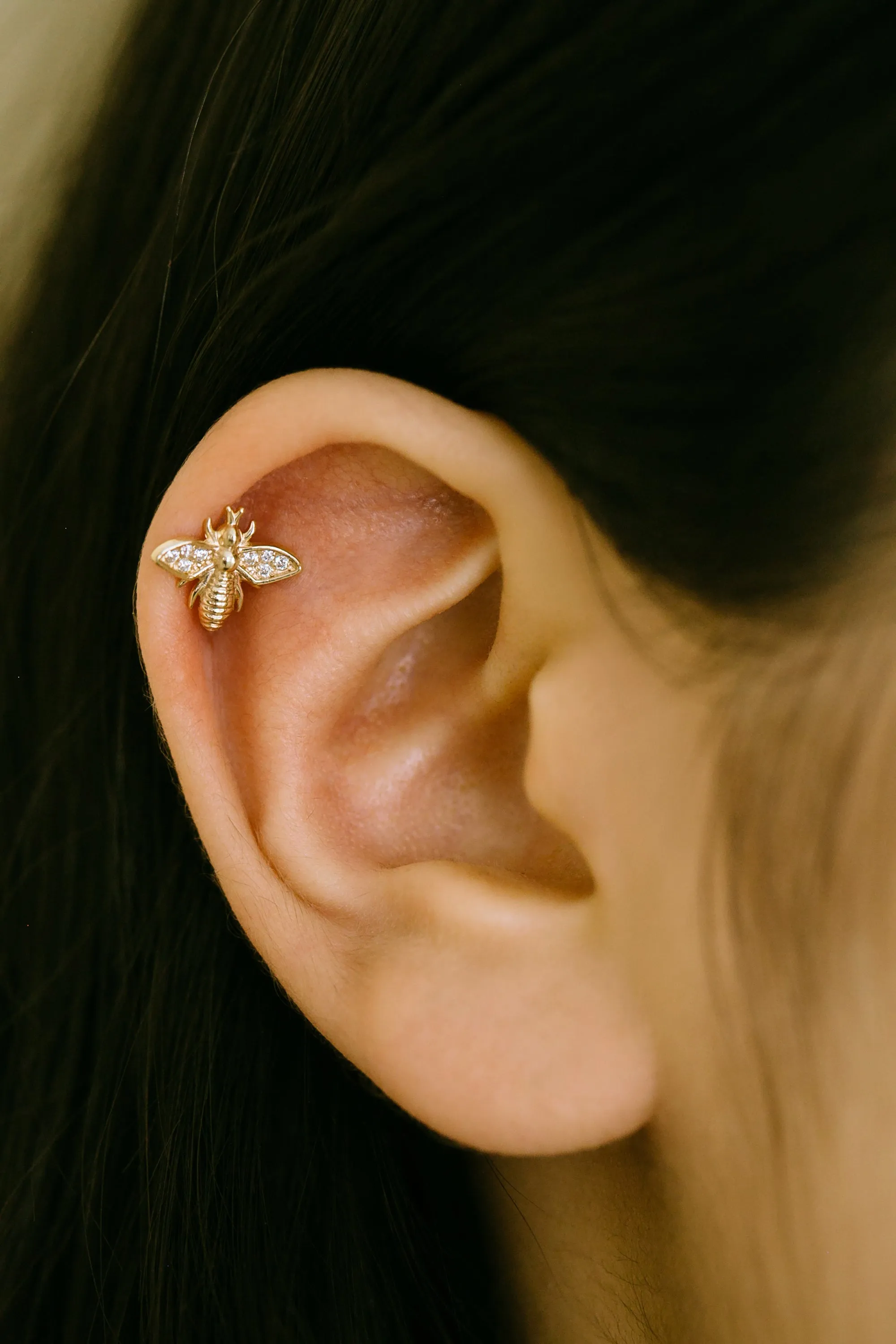 14K Solid Gold Cartilage Delicate Cz Queen Honey Bee Internally Internal Threaded Earring Labret
