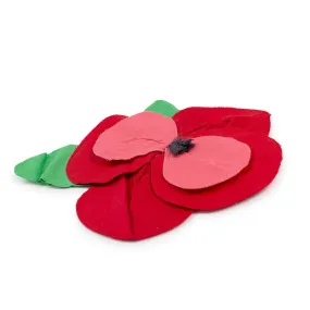 [40%OFF] Accesory