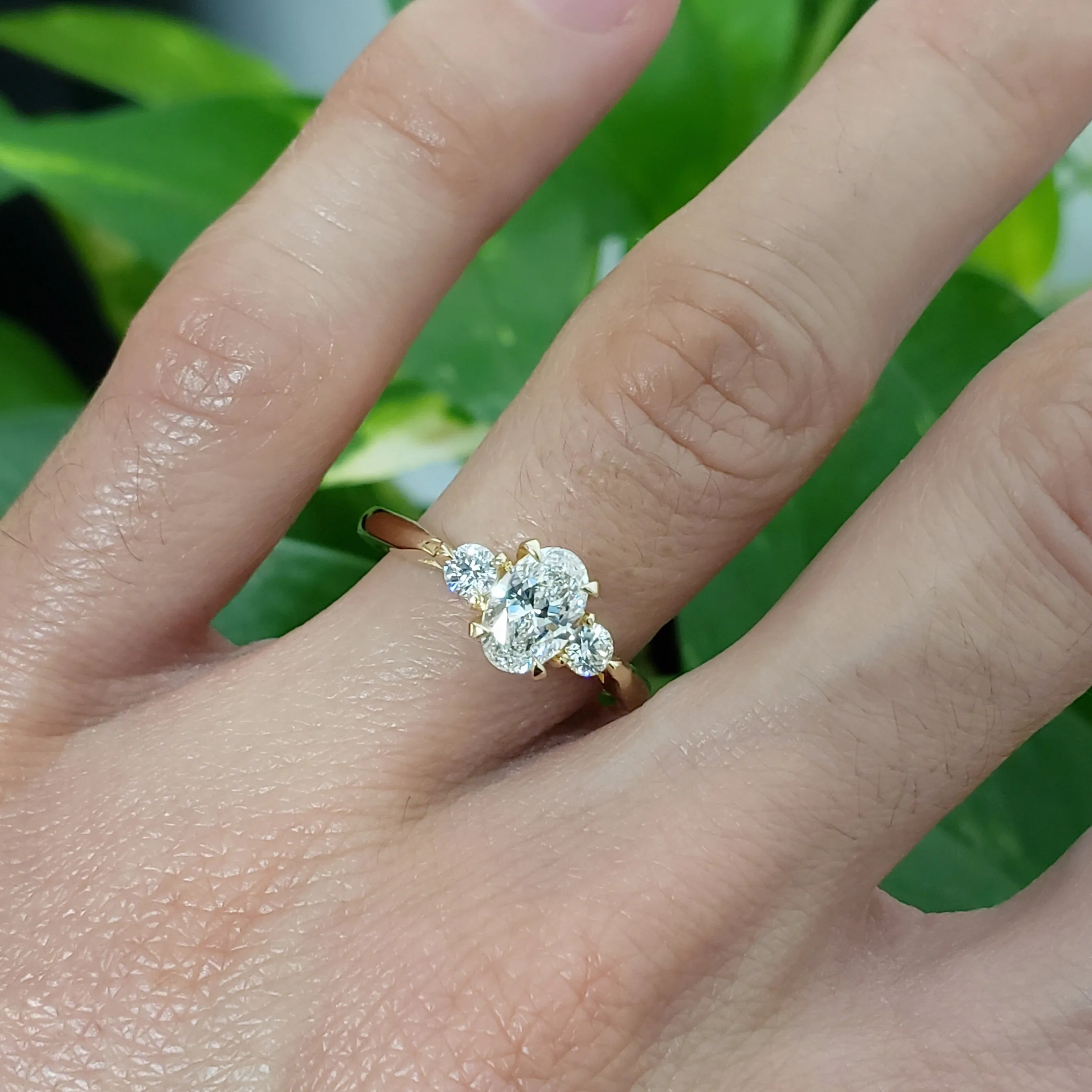 Charlotte | Canadian Diamond
