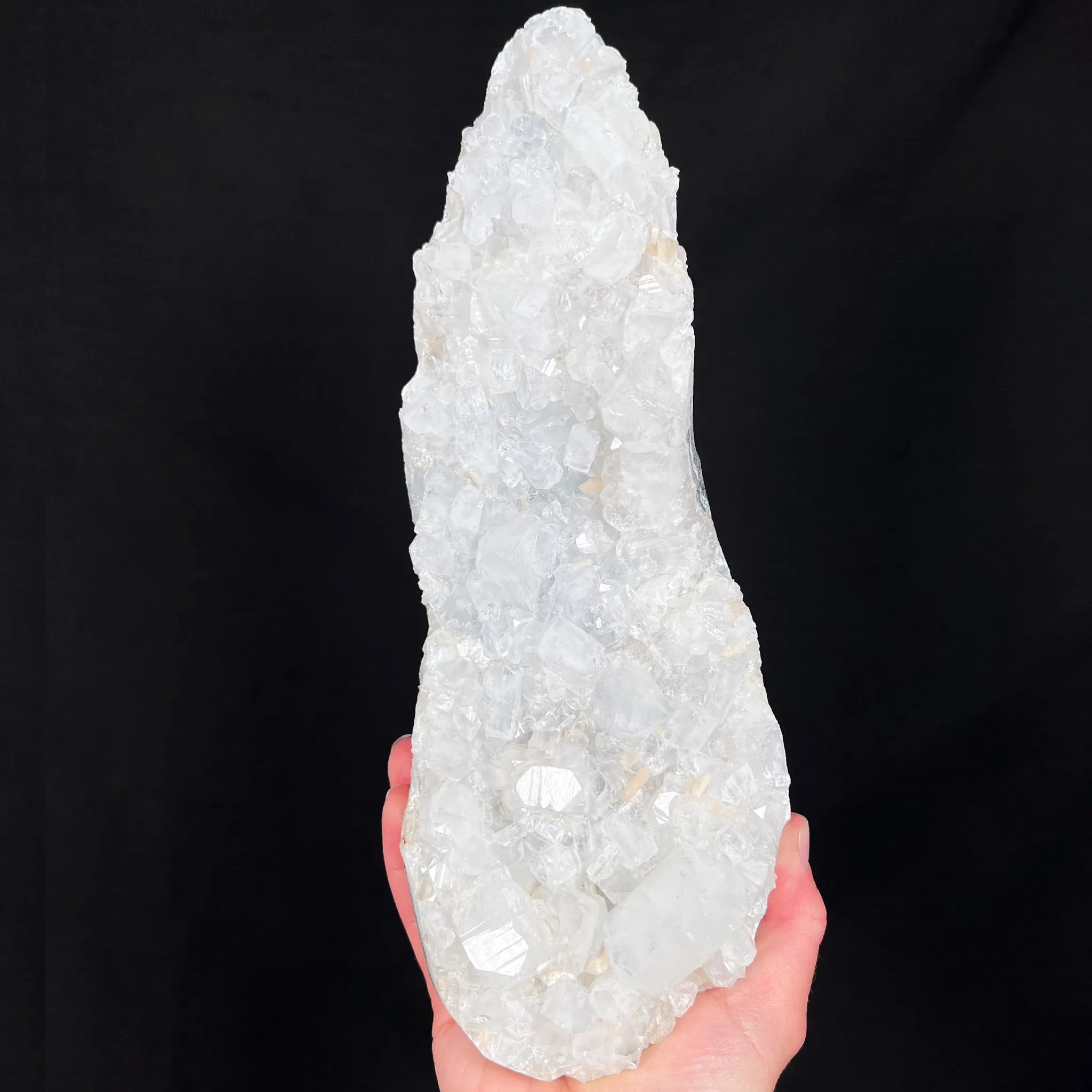 Extra Large Apophyllite with Stilbite