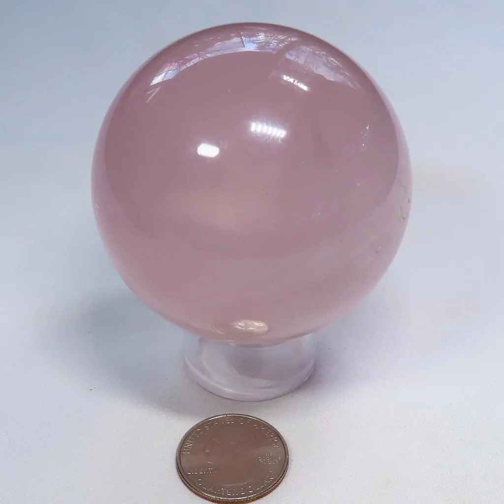 n0501