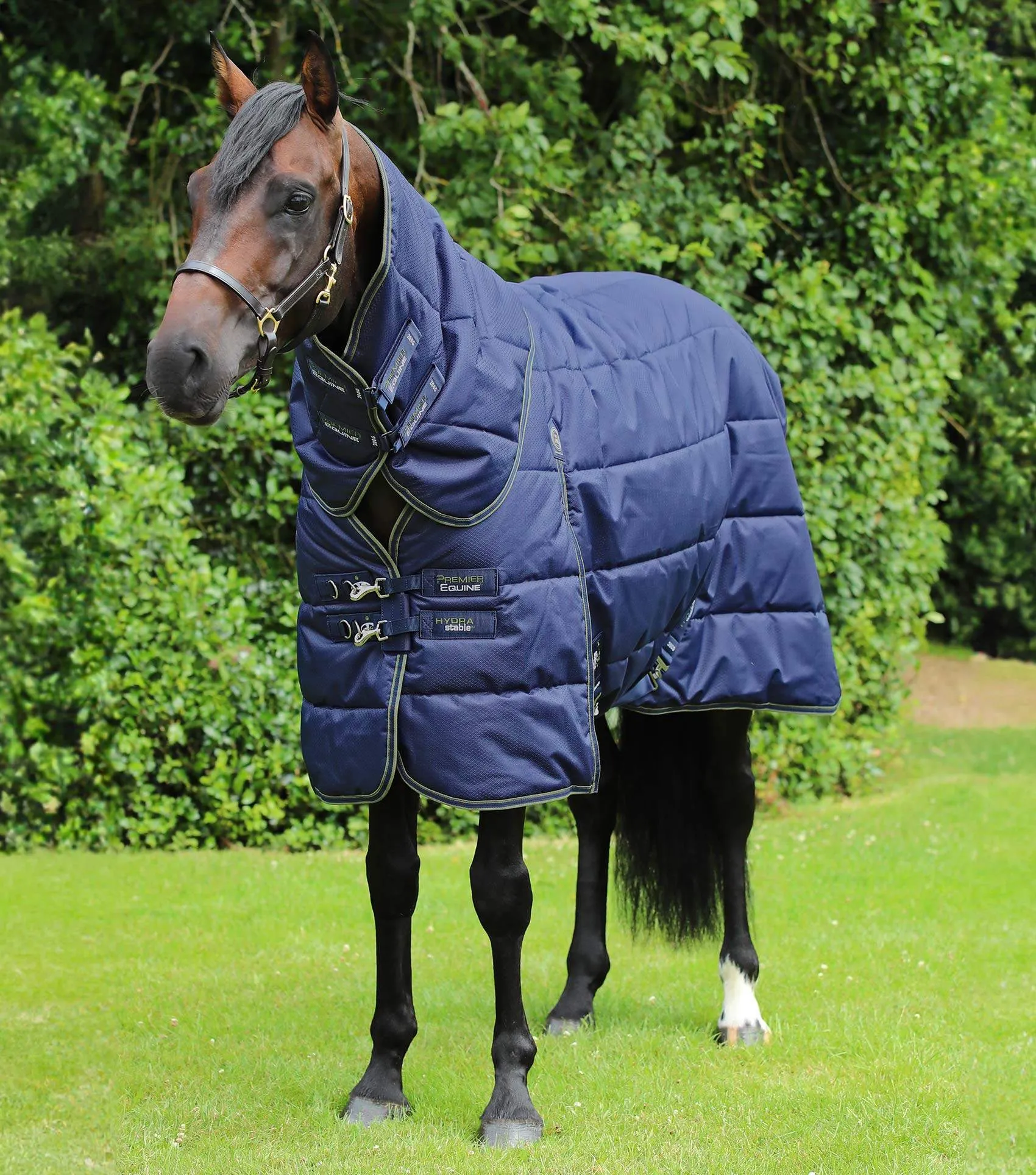 Premier Equine Hydra 350g Stable Rug with Neck Cover | Elite Saddlery