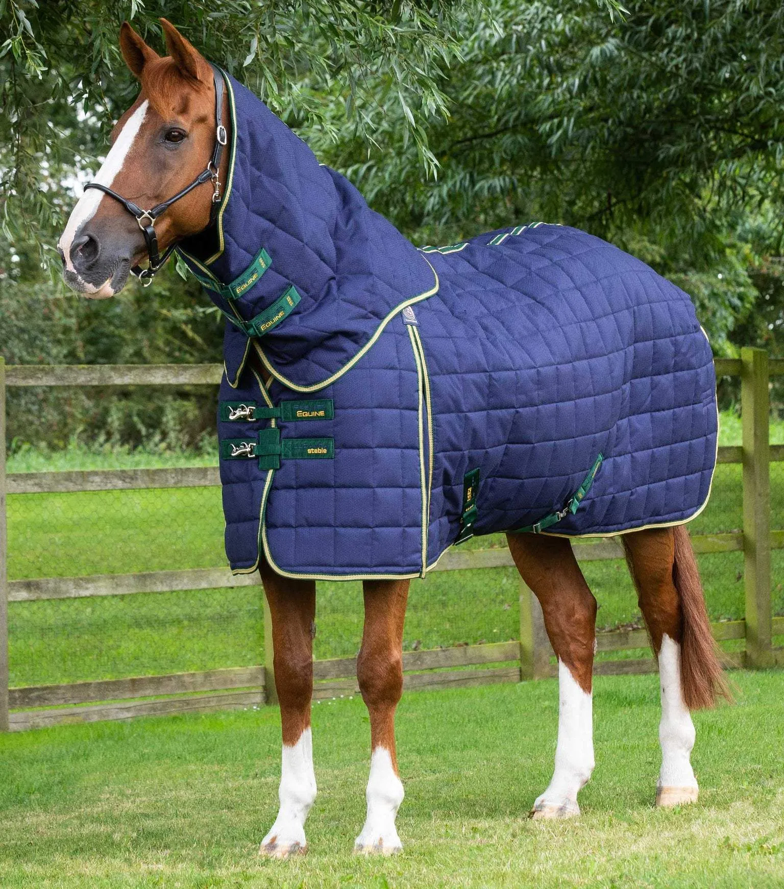 Premier Equine Lucanta 450g Stable Rug with Neck Cover | Elite Saddlery