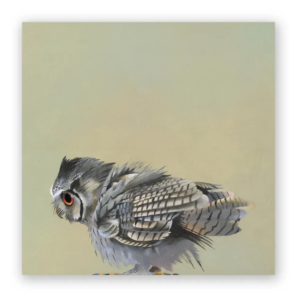 Scops Owl 10x10 Wooden Panel